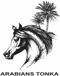 ARABIANS TONKA logo