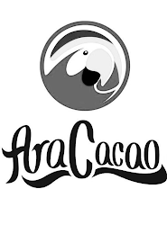 ARACACAO logo