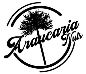 ARAUCARIA NUTS logo
