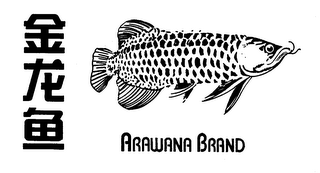 ARAWANA BRAND logo