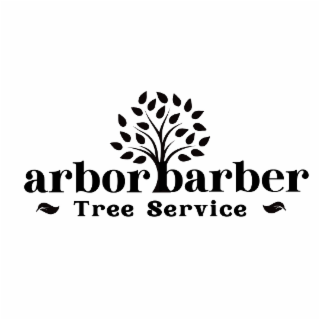 ARBOR BARBER TREE SERVICE logo