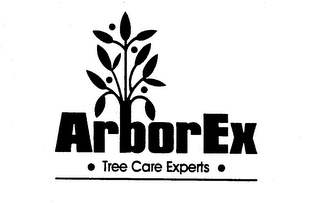 ARBOREX - TREE CARE EXPERTS - logo
