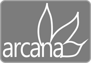 ARCANA logo