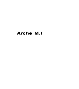 ARCHE M.I logo