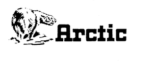 ARCTIC logo