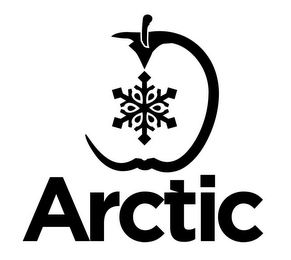 ARCTIC logo