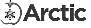 ARCTIC logo