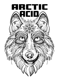 ARCTIC ACID logo