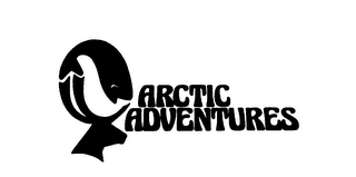 ARCTIC ADVENTURES logo