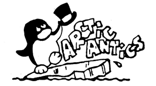 ARCTIC ANTICS logo