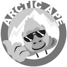 ARCTIC APE logo