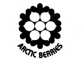 ARCTIC BERRIES logo