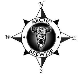 ARCTIC BREWZIE N E S W logo