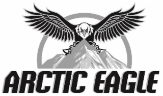 ARCTIC EAGLE logo