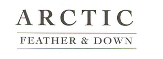 ARCTIC FEATHER & DOWN logo
