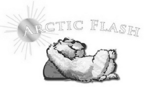 ARCTIC FLASH