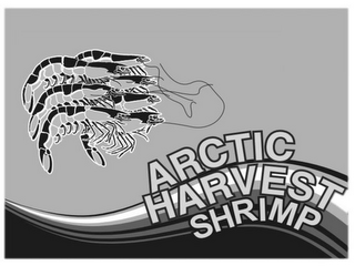ARCTIC HARVEST SHRIMP logo