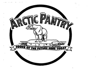 ARCTIC PANTRY FOODS OF THE FUTURE HERE TODAY logo