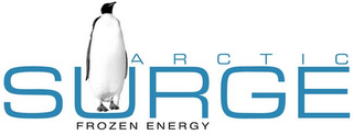 ARCTIC SURGE FROZEN ENERGY logo