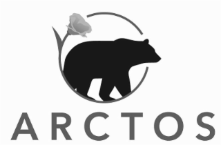 ARCTOS logo
