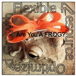 ARE YOU A FROG? FLEXIBLE RESOURCE OPTIMIZED GROWTH logo