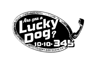 ARE YOU A LUCKY DOG? 10 10 345 LUCKY DOG PHONE CO. logo