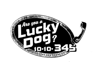 ARE YOU A LUCKY DOG? 10.10.345 LUCKY DOG PHONE CO. logo