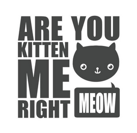 ARE YOU KITTEN ME RIGHT MEOW logo