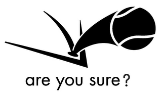 ARE YOU SURE? logo