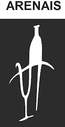 ARENAIS logo