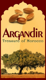 ARGANDIR TREASURE OF MOROCCO logo