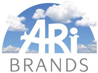 ARI BRANDS logo