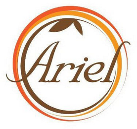 ARIEL logo
