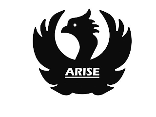 ARISE logo