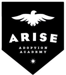 ARISE ADOPTION ACADEMY logo