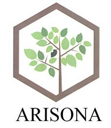 ARISONA logo