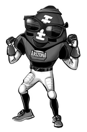 ARIZONA 49 logo