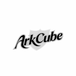ARKCUBE logo