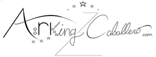 ARKINGCABALLERO.COM logo