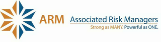 ARM ASSOCIATED RISK MANAGERS STRONG AS MANY. POWERFUL AS ONE. logo