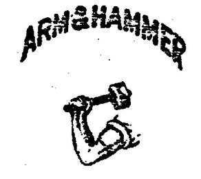 ARM & HAMMER logo