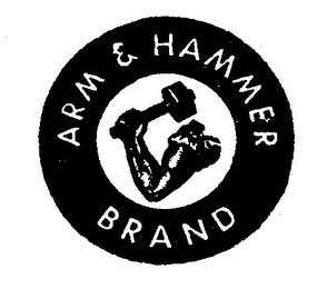 ARM & HAMMER logo