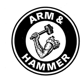 ARM & HAMMER logo