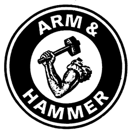 ARM & HAMMER logo