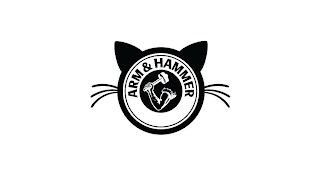 ARM & HAMMER logo
