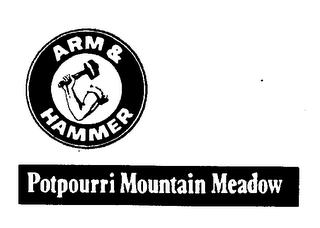 ARM & HAMMER POTPOURRI MOUNTAIN MEADOWS logo