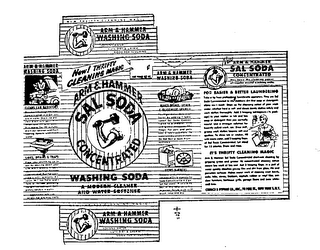 ARM & HAMMER SAL SODA CONCENTRATED logo