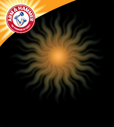 ARM & HAMMER THE STANDARD OF PURITY logo