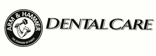 ARM & HAMMER THE STANDARD OF PURITY DENTAL CARE logo