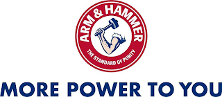 ARM & HAMMER THE STANDARD OF PURITY MORE POWER TO YOU logo